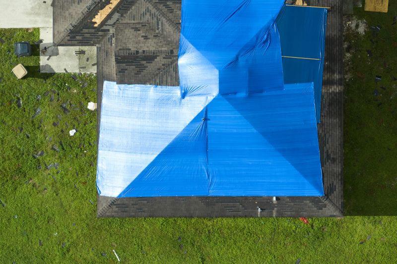roof tarping service