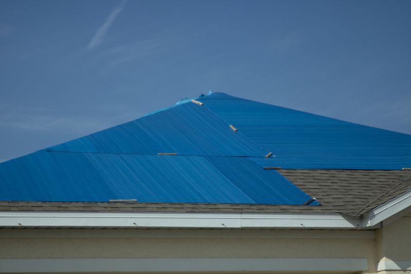 roof tarping service