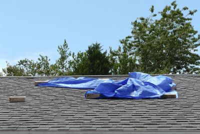 Expert Roof Tarping